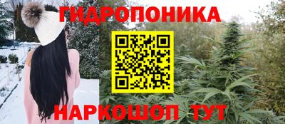 кокс Малоярославец