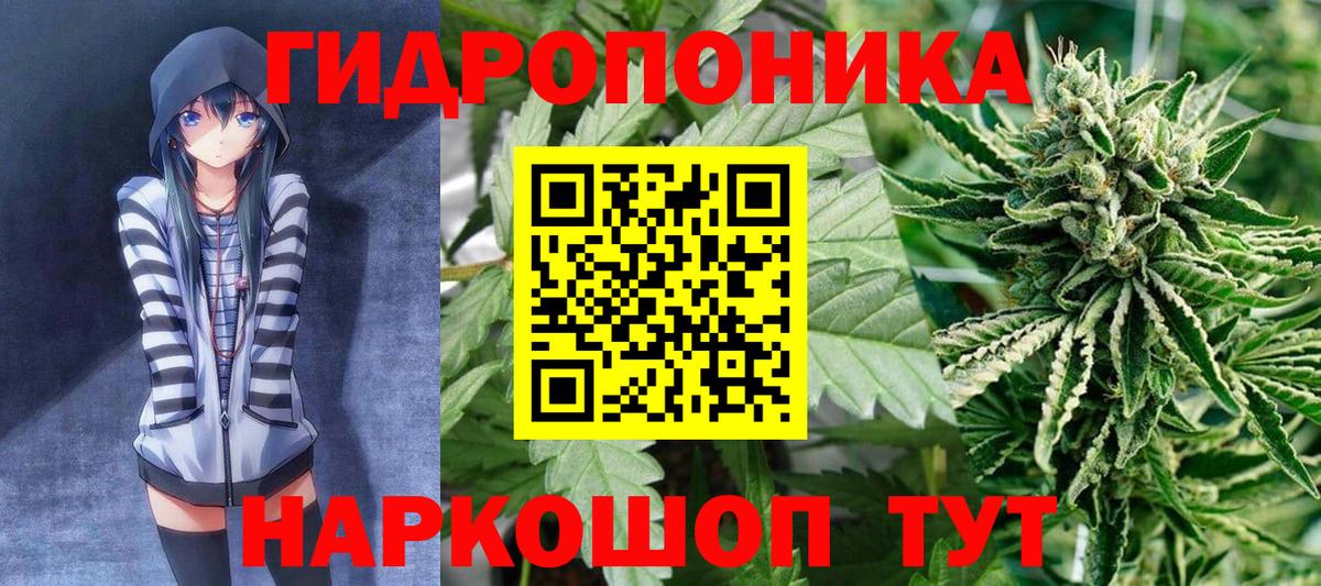 Каннабис семена  Бошки Шишки Bruce Banner  МАРИХУАНА индика  Воронеж  Бошки Шишки сатива  Вход с VPN 